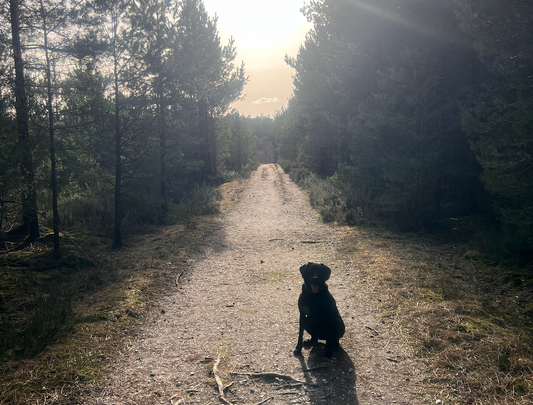 Training Is a Mindset, Not an Hour